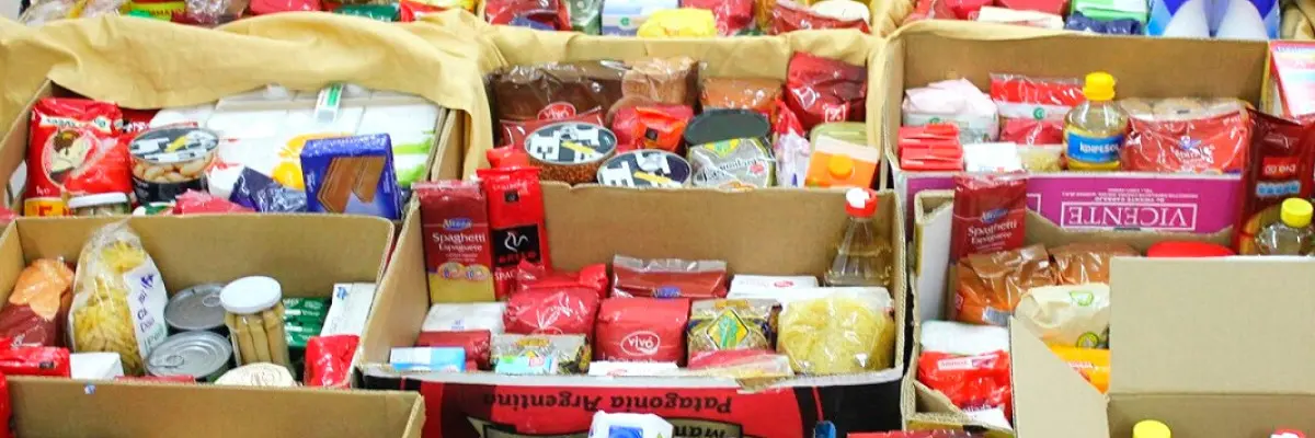 recogida de alimentos